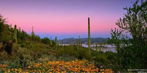 Peoria, Arizona